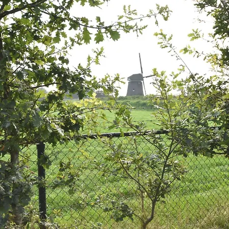 Lejlighed Cozy In Netherlands With Meadow View *