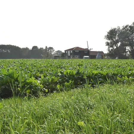 Lejlighed Cozy In Netherlands With Meadow View *