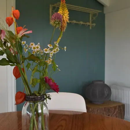 Cozy In Netherlands With Meadow View *